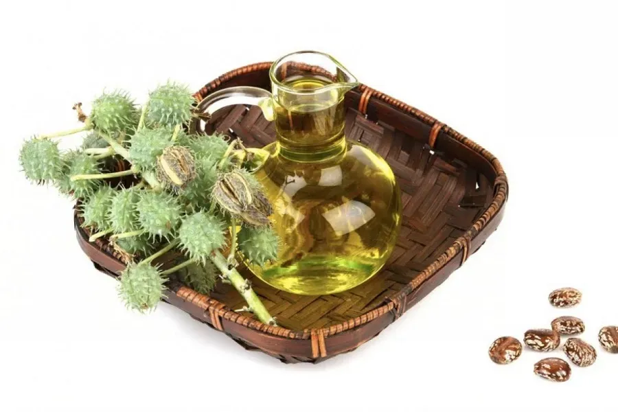 خواص روغن کرچک برای چشم