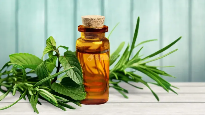 روغن چای سبز برای جوش