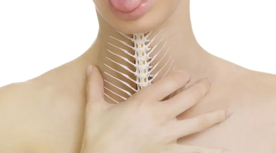 چگونه تیغ ماهی را از گلو خارج کنیم