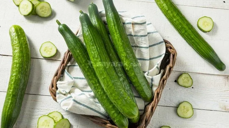 خواص خیار و خواص خیار شور