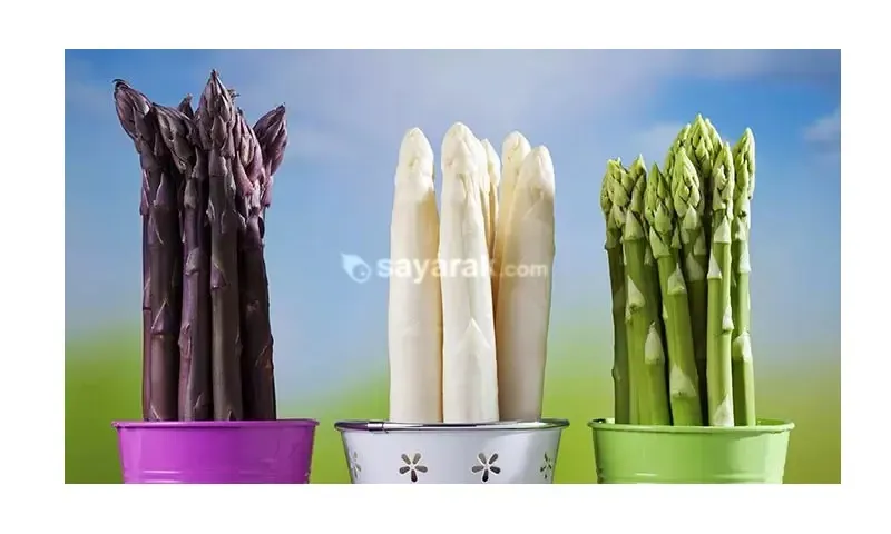خواص مارچوبه