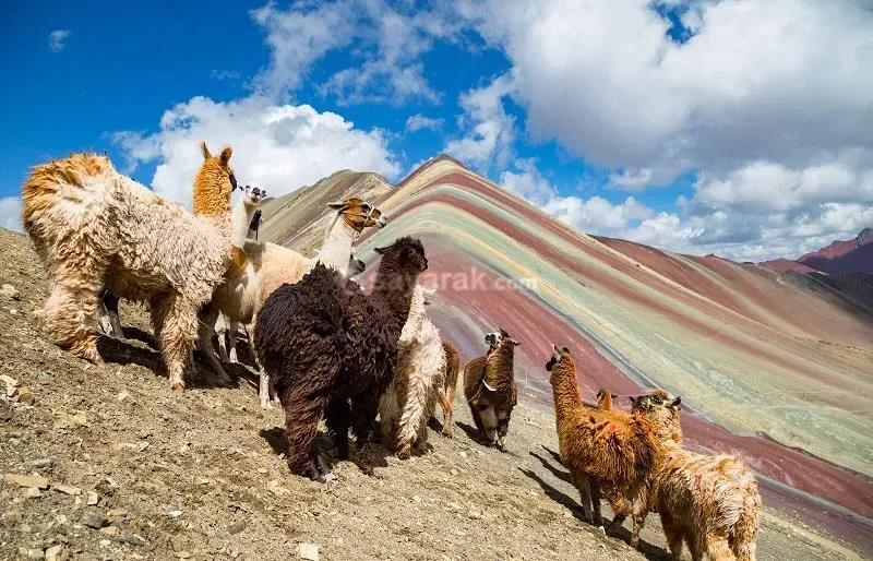 کوه رنگین کمان در پرو 