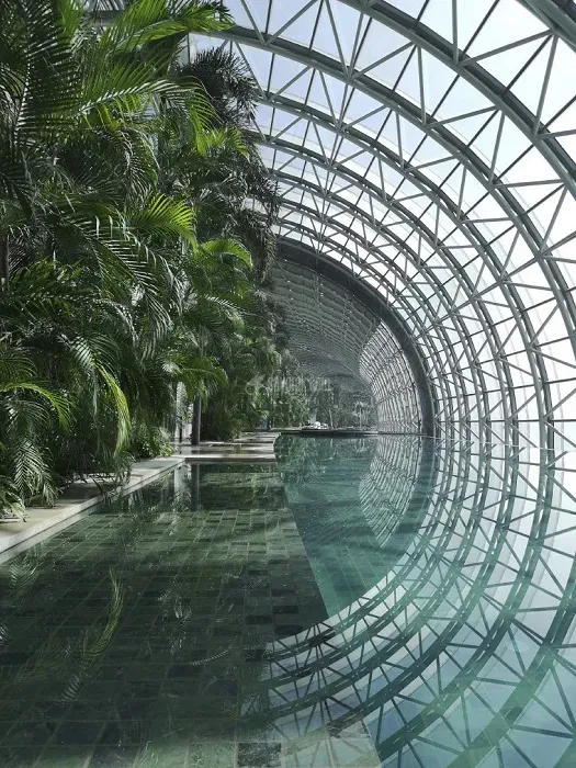 Sky Bridge