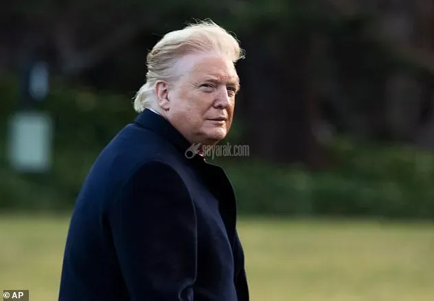 24482834-8524393-An_unedited_pool_photo_from_the_same_moment_on_Friday_shows_Trum-a-2_1594791353363.jpg