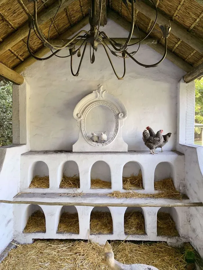creative-chicken-coops-designs-11-5f0d90f5d9663__700.jpg