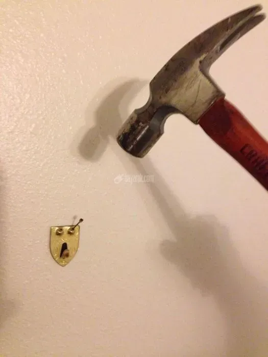 pareidolia9.jpg