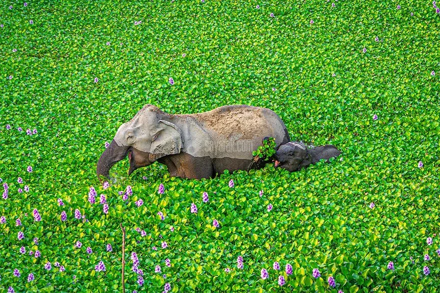 عکس خنده دار