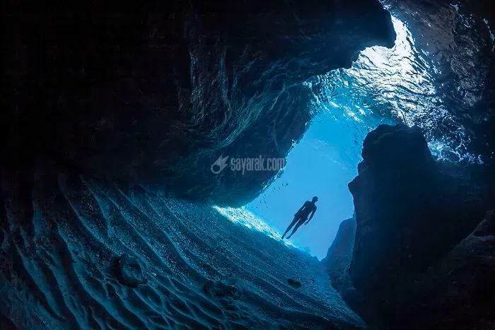 2020-underwater-photo-contest-scuba-diving-magazine16-5f69cad6243f7__700.jpg