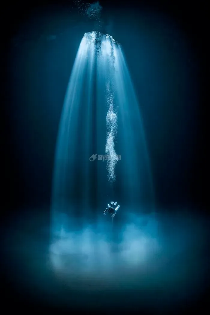 2020-underwater-photo-contest-scuba-diving-magazine11-5f69cacb1d631__700.jpg