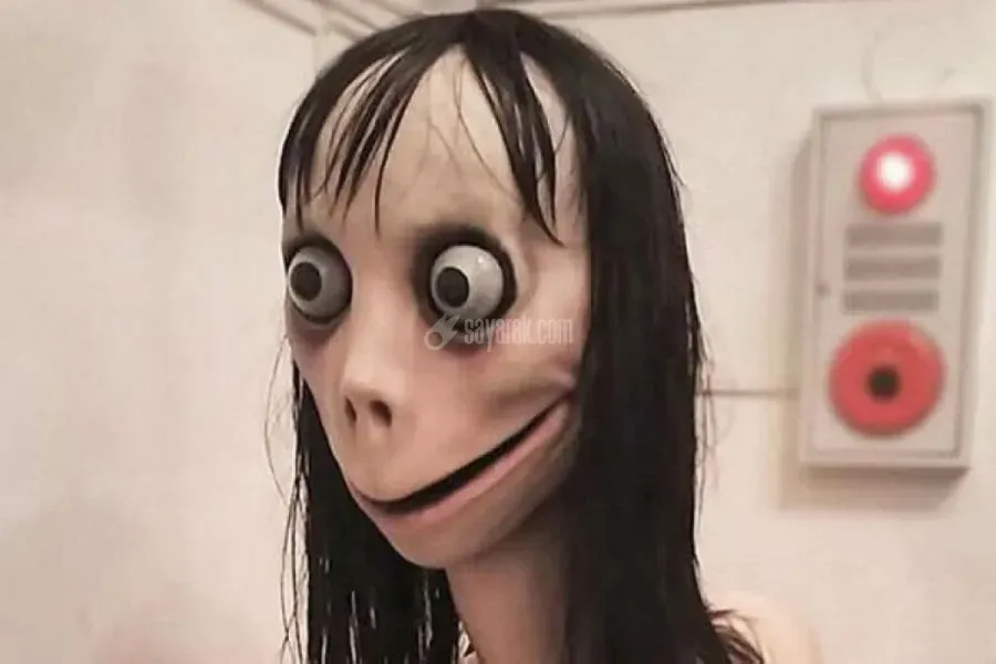 مومو