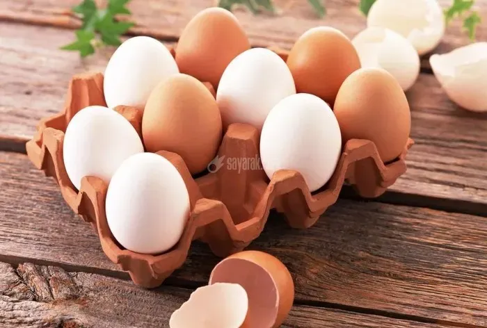 تخم مرغ