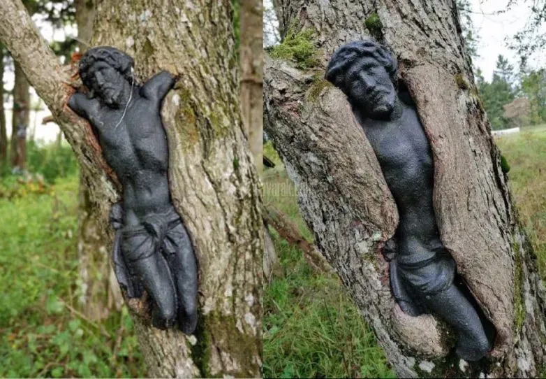 عکس جالب