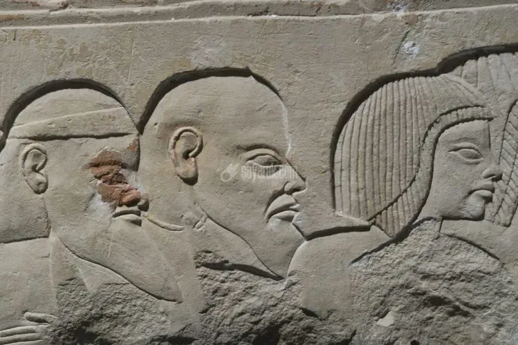 عکس جالب
