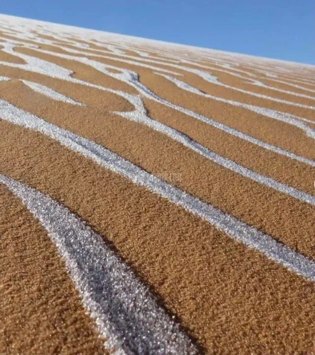 عکس جالب