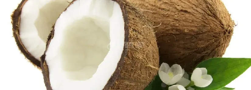 نارگیل