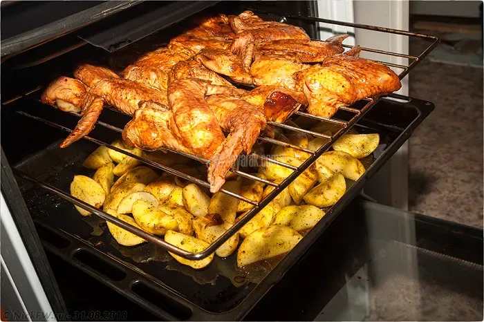 بال مرغ