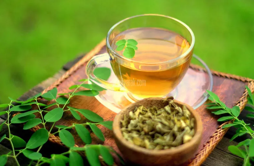 مورینگا 