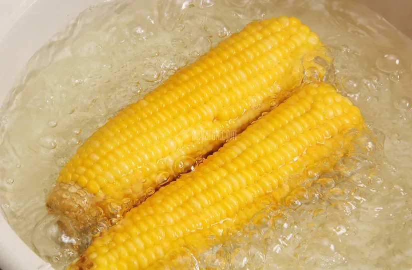 ذرت