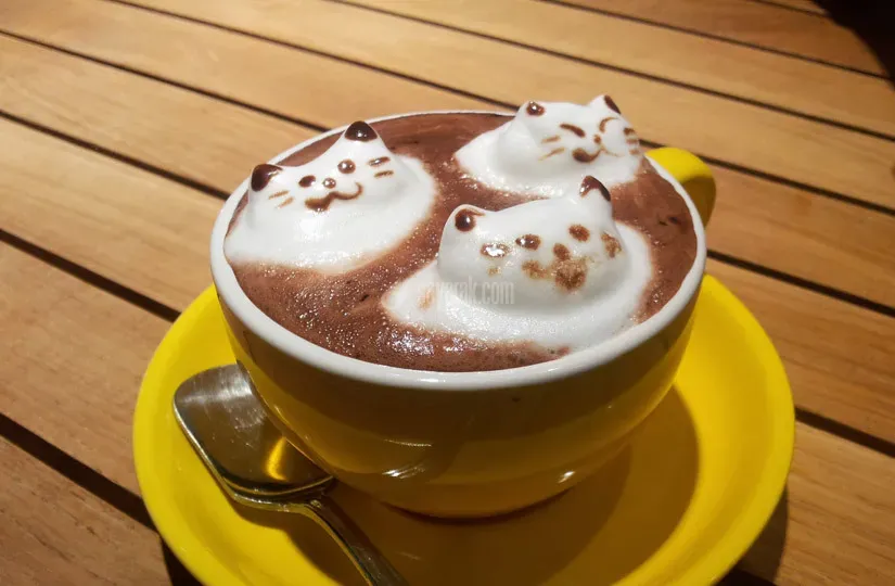 کاپوچینو