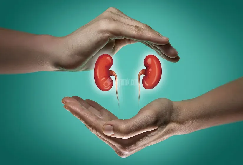 kidney_failure_aboriginal_health_2.jpg