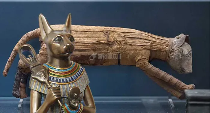 الهه بستت