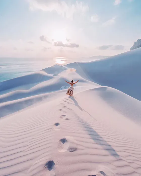 جزیره سوکوترا