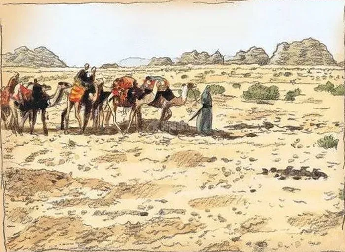 ابن بطوطه