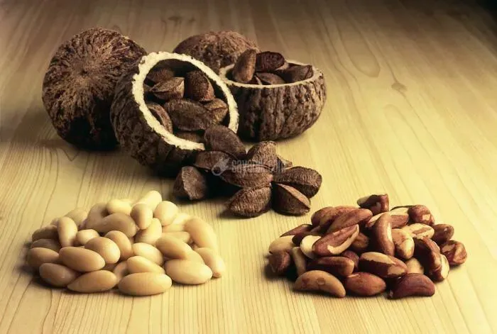 آجیل برزیلی