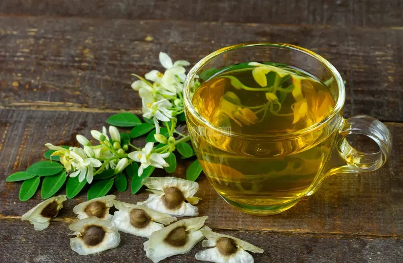 مورینگا