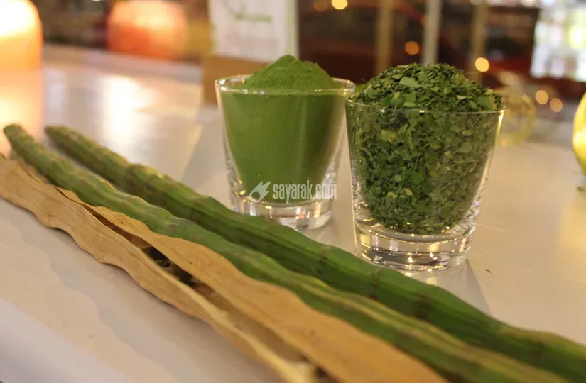 مورینگا